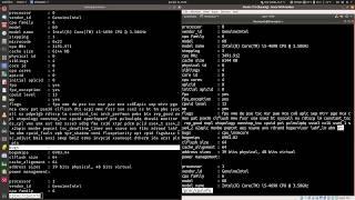 Find out if your Linux kernel has been patched against Meltdown and Spectre