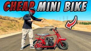 The BEST Mini Bike for under $500 | FRP GMB100