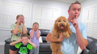 Surprising Our Kids With a New Puppy!!!