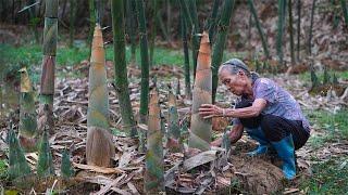 Super bamboo shoots, grandma uses traditional to make Chinese food｜Guangxi Grandma