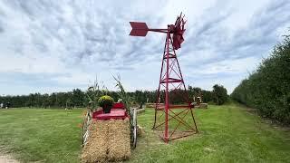 Apple Picking at Watson Farms