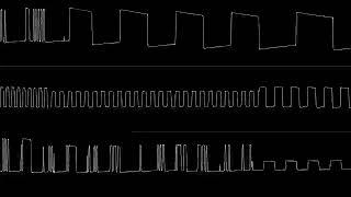 unfinished crap #?: roots of ruin on the zx spectrum 