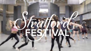 Chicago Sneak Peek | Stratford Festival 2022