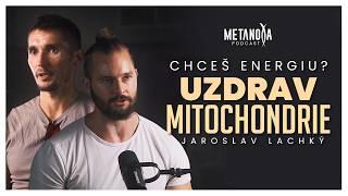 Tajomstvo tvojho zdravia a energie je v MITOCHONDRIÁCH | Metanoya Podcast | Jaroslav Lachký