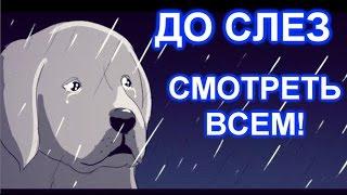 Очень грустная история! Смотреть всем! До слез...