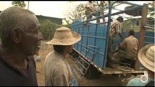 Panama, business in the jungle | Deadliest Journeys