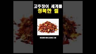 고추장이 세계를 정복한 썰