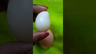 அதிசய கோழி முட்டை  || mango shaped egg #shorts @ahaasworld