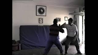 Taijiquan Dynamic Pushing Hands - Vincent Chu & David Nicholson