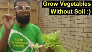 Aquaponics Farming Solution for Pakistan/India (Alternative to Hydroponics). | Urdu Hindi Punjabi