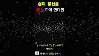 삶이 당신을 분노하게 한다면 | 세이노의 가르침 | Say No | 자기계발 | ASMR | 남자목소리 | 힘들고 지칠 때