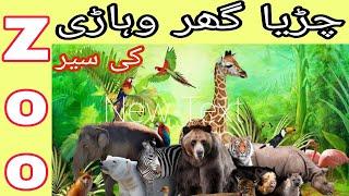 Vehari Zoo | Chidiya Ghar | Visit | Saleemi Official