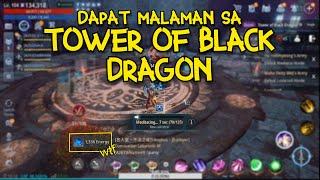 ALL YOU NEED TO KNOW ABOUT TOWER OF BLACK DRAGON | MIR4