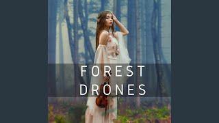 F# Gb drone in a distant forest