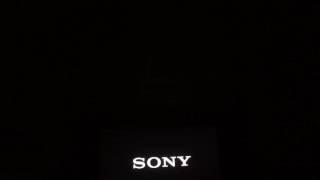 Sony/Columbia Pictures - Annapurna Pictures - Point Grey (Sausage Party 2016)