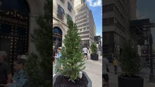 zerOOne Explore #NYC Fifth Avenue #Shorts