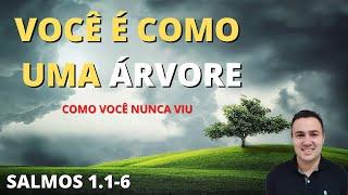 VOCÊ É COMO UMA ÁRVORE [ PREGAÇÃO FORTE ] Salmos 1:1-6