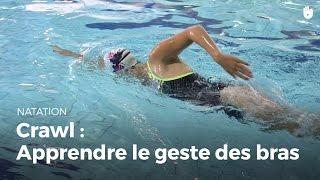 Apprendre le geste des bras | Crawl