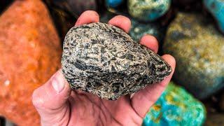 Can I turn a Landscaping Rock into a Museum Specimen?