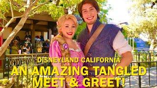 Rapunzel and Flynn Rider Tell Us About Their TV Show & NEW Adventures! Tangled Disneyland #disney