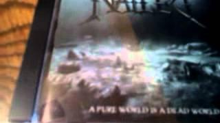 CD review: Nailed-A Pure World is A Dead World