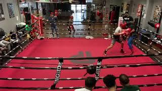 Park Elite sparring with Zilla Boxing and Patterson fighters 140s and 200+