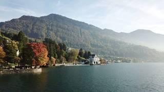 Teaser SwissBest - Autumn Day in Weggis