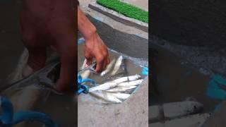 Nepal diy fishing #shorts