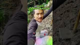 Land Preparation for #supernapier #heykangleicha #manipurfarming #milansapamcha #shortvideo