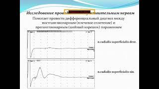 Плексопатия шейного и поясничного сплетений. Фокус на миографические исследования. Виртуальный ЖК.