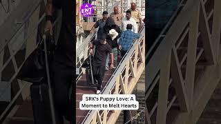 Is Shahrukh khan a pet lover too? Badshah spotted with adorable Puppy #shahrukh_khan