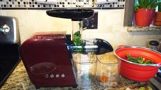 Koios Vitamin Reap Slow Masticating Juicer B5100 Review