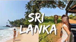 Sri Lanka Travel Guide | 10 Days in Ella, Udawalawe, Yala, Galle | Jenny Zhou 周杰妮