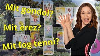 ORAKEL a szerelmi kapcsolatodra Jóslás #ikerláng #tarot #lelkitárs