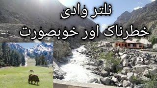 Naltar Valley Jeep Safari Dangerous Road trip