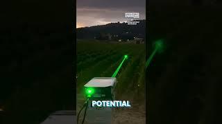Why the Laser Lightshow in a Vineyard?
