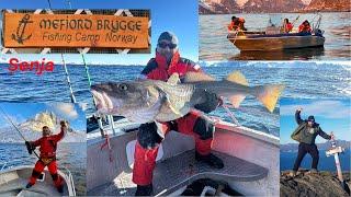 MK Fishing in Norway Senja, Mefjord Brygge Fishing Camp Adventures 2024