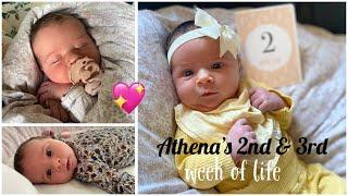 ATHENA'S 2ND & 3RD WEEK OF LIFE