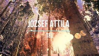 József attila: Tél