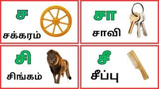 உயிர்மெய் எழுத்துக்கள்/ச சா சி சீ வரிசை சொற்கள்/sa saa se see  /@ kidswithfunlearning