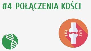 Połączenia kości #4 [ Układ ruchu ]