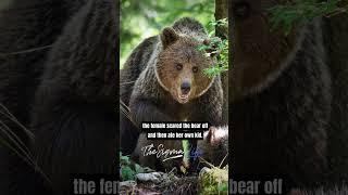 The DARK Truth about BEARS - Joe Rogan