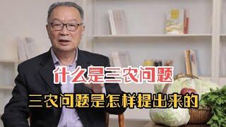 什么是三农问题？三农问题是怎样提出来的？听温铁军教授深入解析