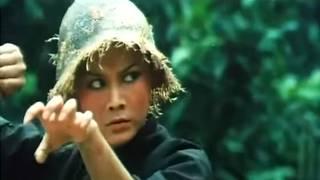 Sechs Kung-Fu-Helden | 1980 (Action, Kung-Fu) Ganzer Film