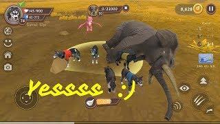 Wildcraft animal sim online 3D - Elephant boss fight again and a wolf mystic skin!!!