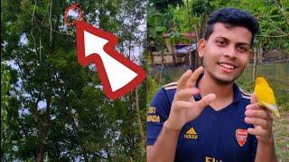 অবশেষে ম্যাংগো কে ফেরত পেলাম  | Sahin Showkat