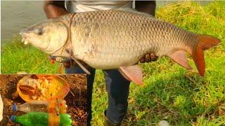 10.kg.700 grm Rohu Fish Catching | Fish Hunter Anwar | 5.300 grm Catla Fish Catching | Fishing Bait