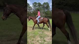 Horse Back Riding Lesson Day…