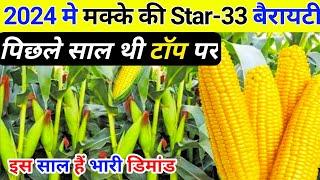 रिकॉर्ड तोड़ उत्पादन वाली मक्का की खेती / Makke ki hybrid variety / Hybrid maize seed