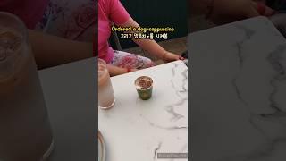 Dog cappuccino 멍푸치노 #pickyeater  #funnydog #강아지